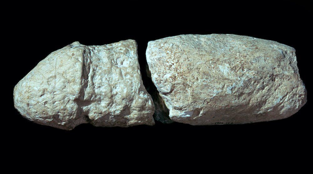 Neolithic. A limestone phallus, now in the Dorset County Museum.